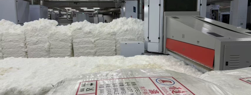 recycle cotton